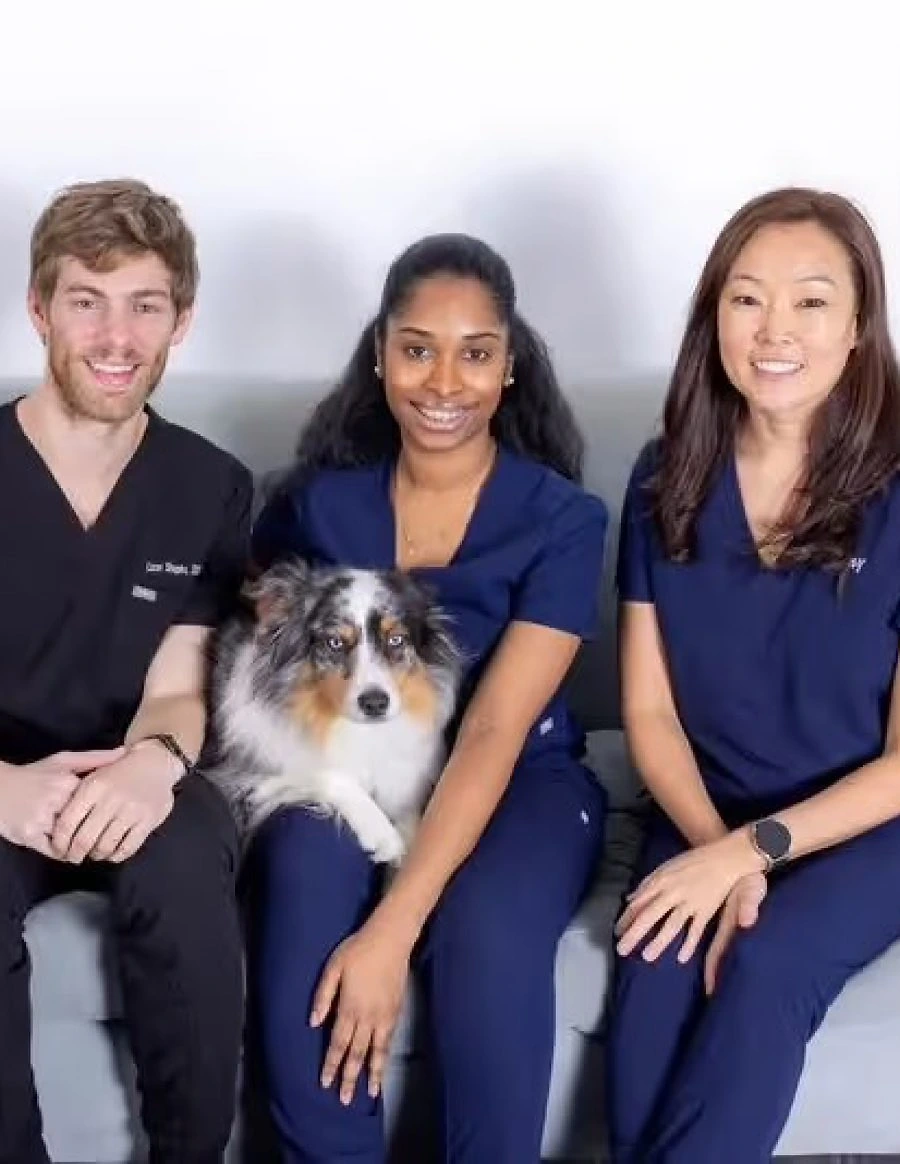 Two Wall Street Orthodontics team members seated together with a dog
